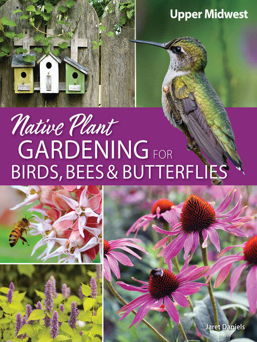 Cover image for Native Plant Gardening for Birds, Bees & Butterflies